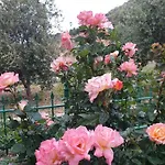 Lagjini Apartahotel 3*