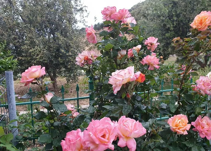 Lagjini Aparthotel 3*