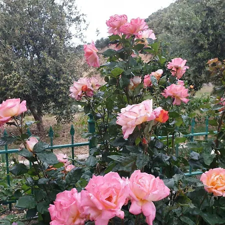 Lagjini Lejlighedshotel 3*